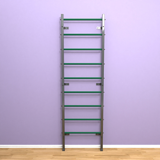 картинка Шведская стенка "LittleSport" (черный*зеленый) от магазина Лазалка